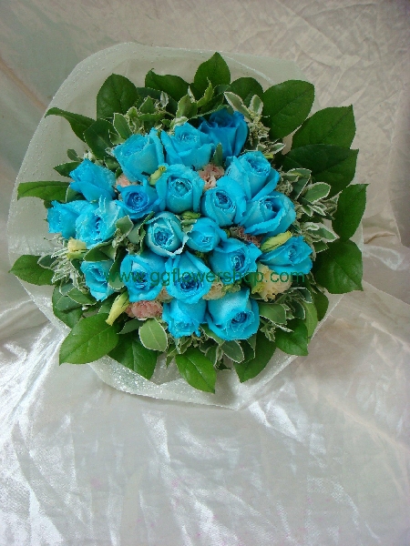 B060 藍色玫瑰