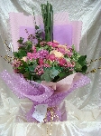 B063 紫玫瑰