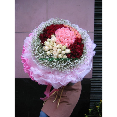 B035 99支什色玫瑰