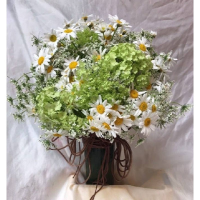 A008小雛菊