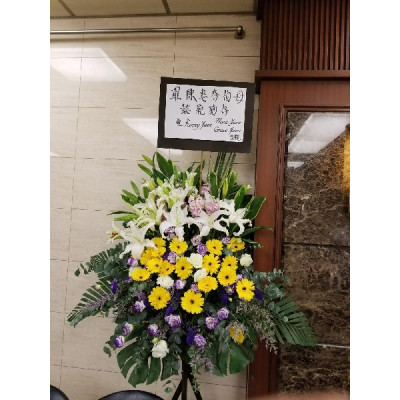 F016 高架籃