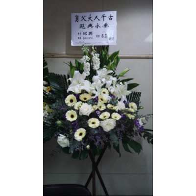 F041 高腳籃