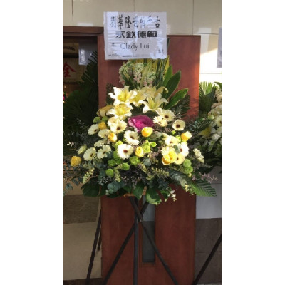 F024 高架籃